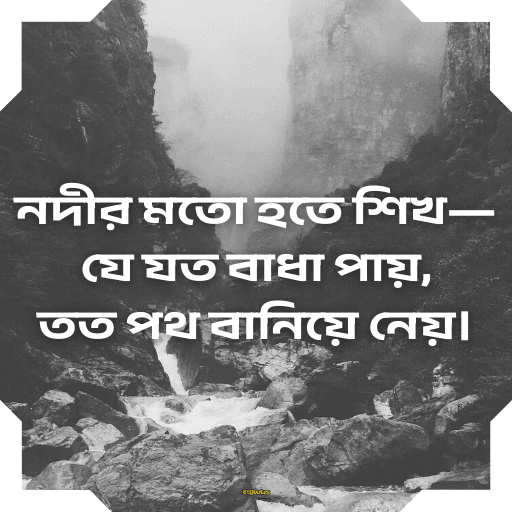 অনুপ্রেরণামূলক উক্তি 19