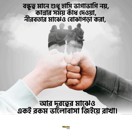 বন্ধুত্বের উক্তি 1