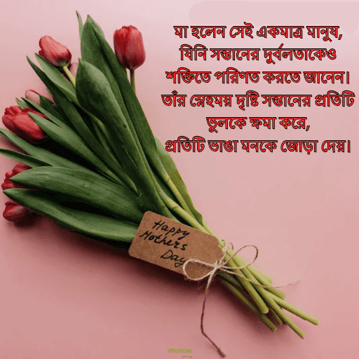 মা কে নিয়ে উক্তি 14
