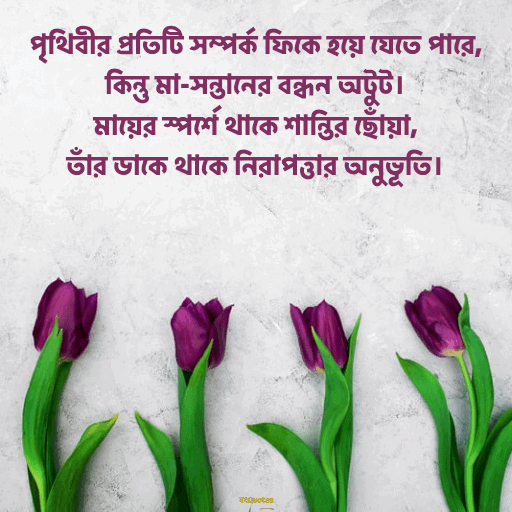 মা কে নিয়ে উক্তি 15