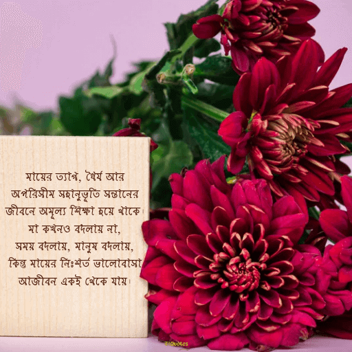 মা কে নিয়ে উক্তি 17