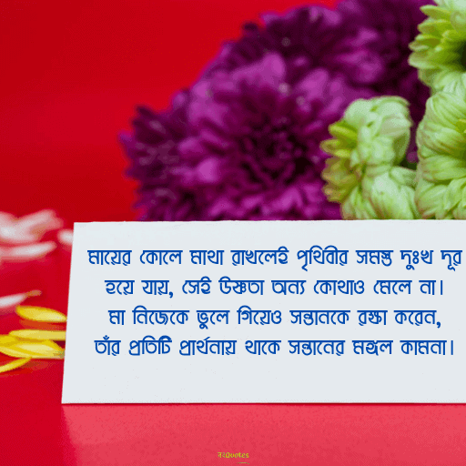 মা কে নিয়ে উক্তি 18