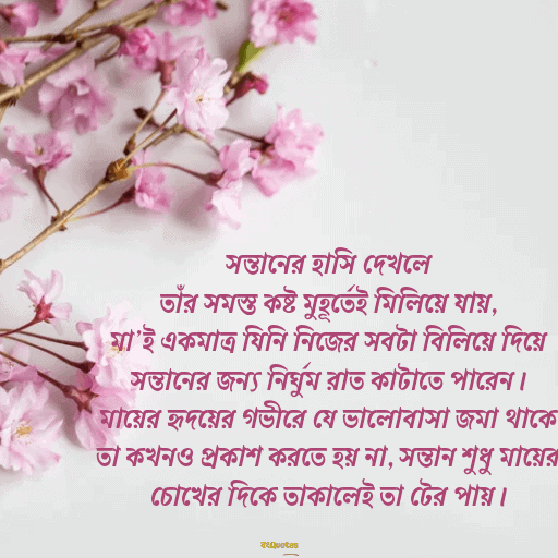 মা কে নিয়ে উক্তি 19
