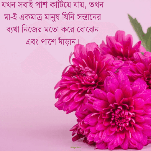 মা কে নিয়ে উক্তি 4