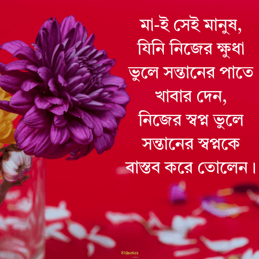 মা কে নিয়ে উক্তি 5