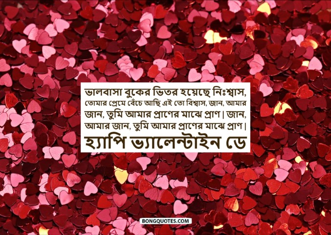 ভ্যালেন্টাইন্স ডে বাণী, মেসেজ, পিকচার ~ Bengali Valentines Day Wishes, Quotes, Pictures