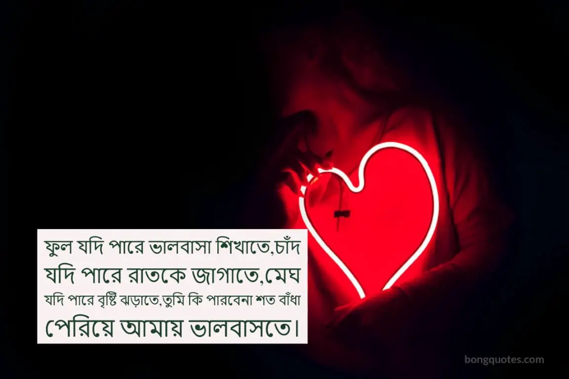 275 Bengali Love Shayeri For Boyfriend And Husband প র ম র শ য র 2020