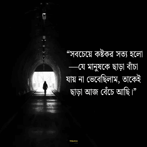 স্যাড স্টেটাস 1