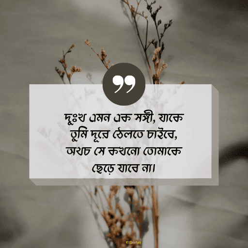 স্যাড স্টেটাস 13