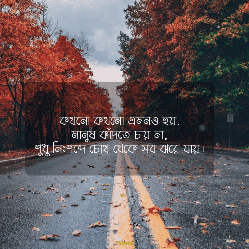 স্যাড স্টেটাস 14