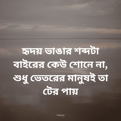 স্যাড স্টেটাস 6
