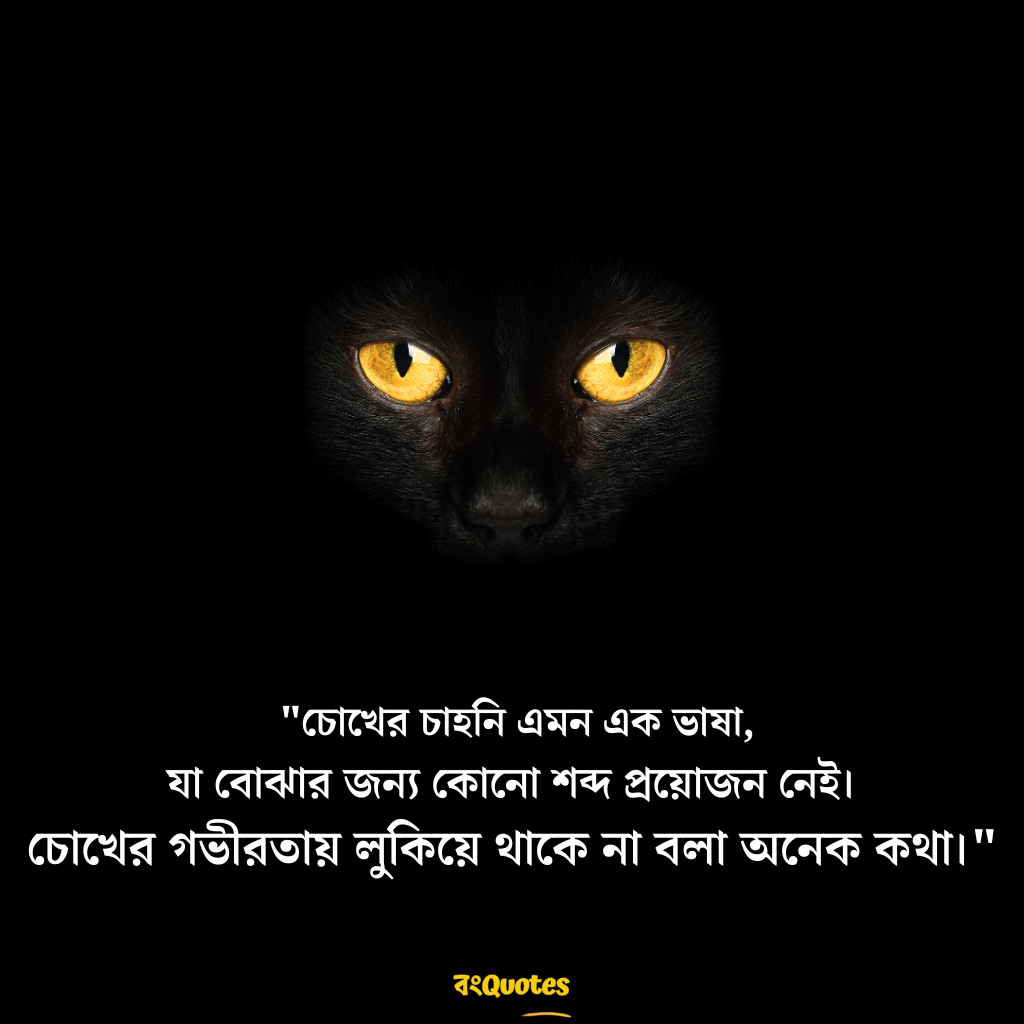 চোখ নিয়ে উক্তি 11