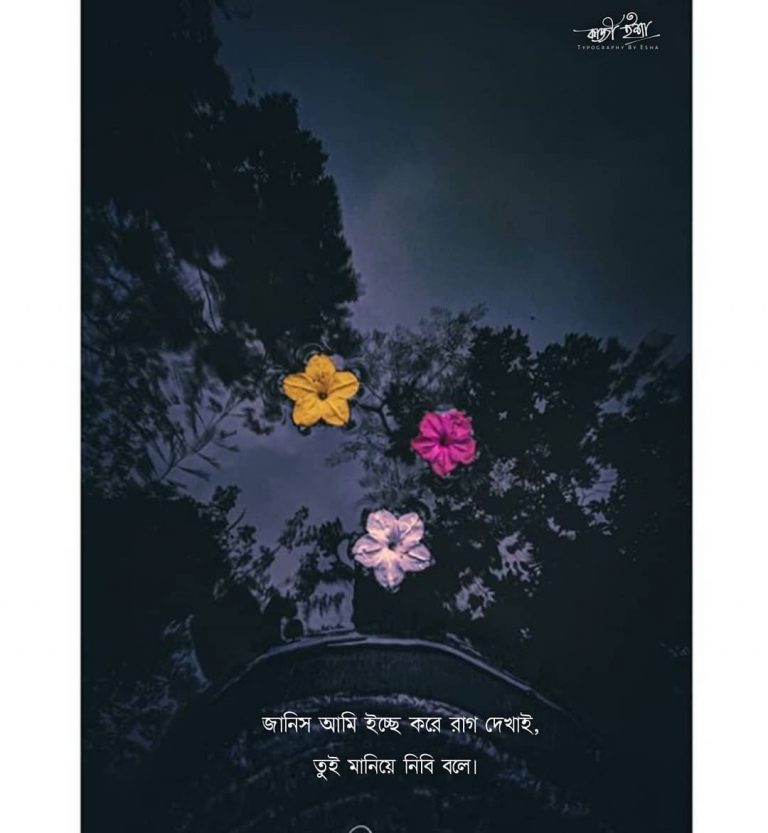 550+ Best Bengali Whatsapp Status Collection সেরা বাংলা হোয়াটস্যাপ