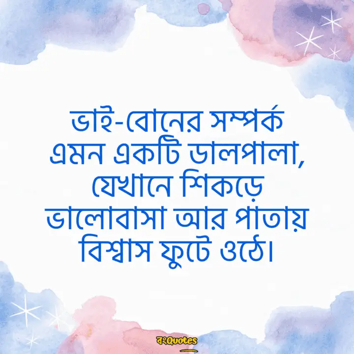 ভাই বোন নিয়ে স্ট্যাটাস 1