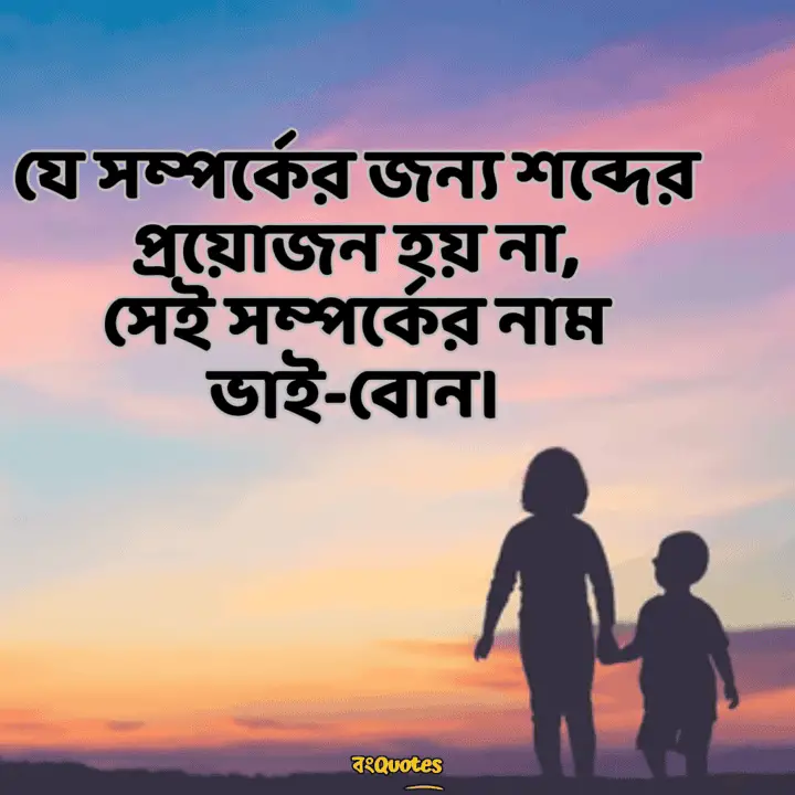 ভাই বোন নিয়ে স্ট্যাটাস 3