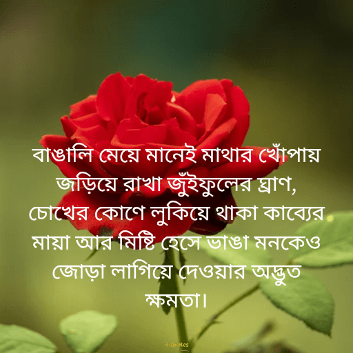 বঙ্গ নারী 5