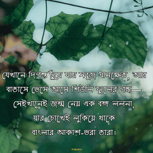 বঙ্গ নারী 3