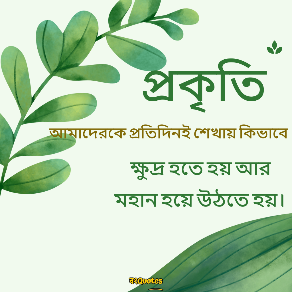 প্রকৃতি সম্পর্কে নতুন সেরা উক্তি 1