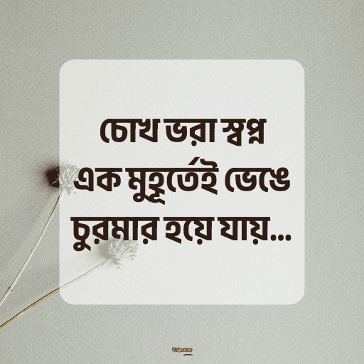 কষ্টের হোয়াটস্যাপ স্ট্যাটাস 11