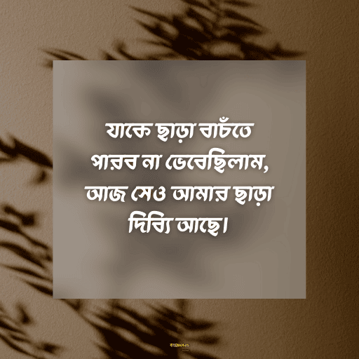 কষ্টের হোয়াটস্যাপ স্ট্যাটাস 13