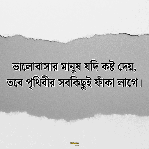 কষ্টের হোয়াটস্যাপ স্ট্যাটাস 4