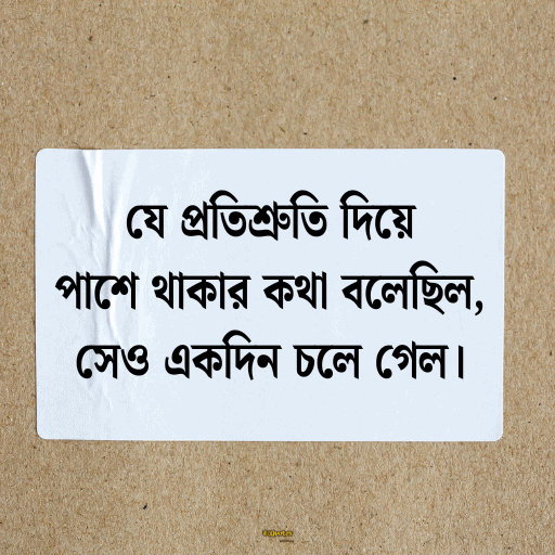 কষ্টের হোয়াটস্যাপ স্ট্যাটাস 5