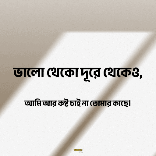 কষ্টের হোয়াটস্যাপ স্ট্যাটাস 9