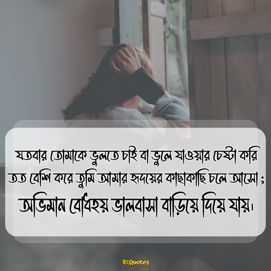 অভিমান নিয়ে ভালো লাগার  উক্তি