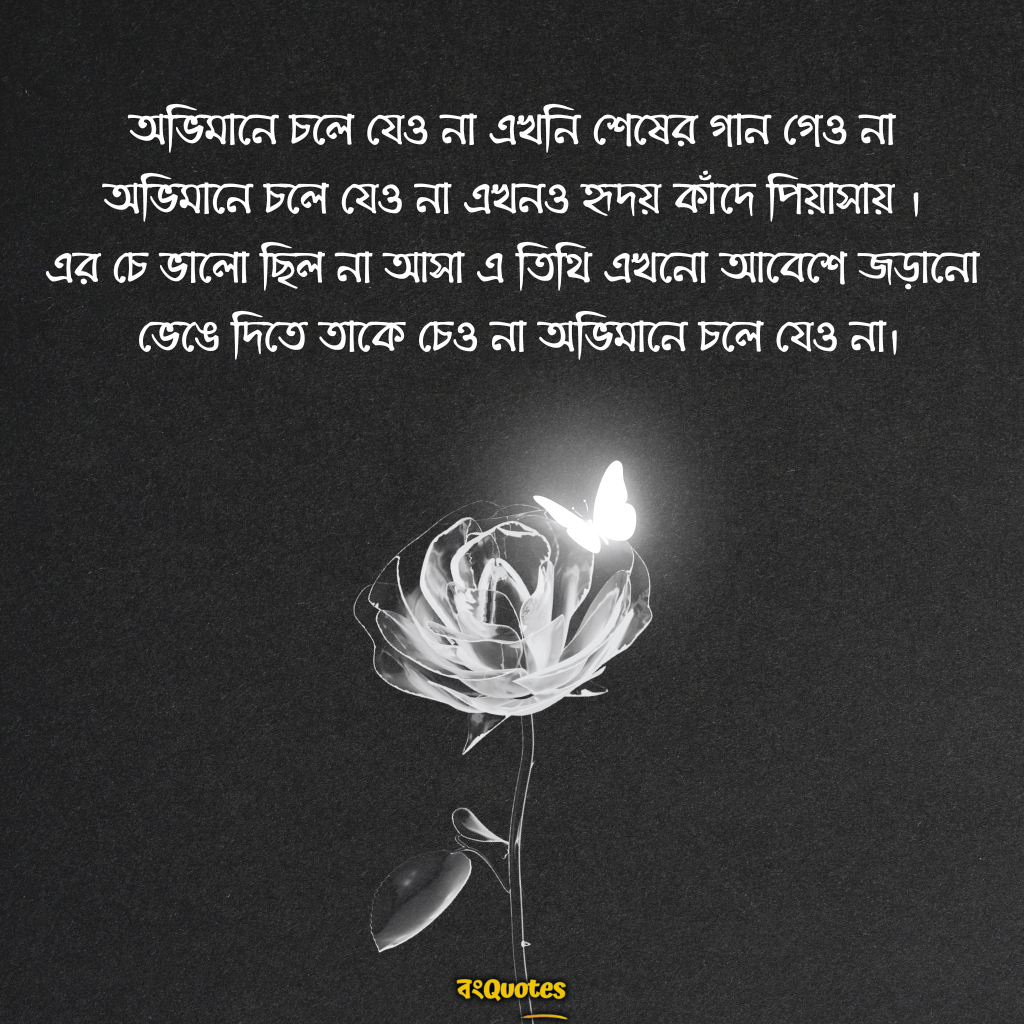 অভিমান নিয়ে শায়েরি ও কবিতা