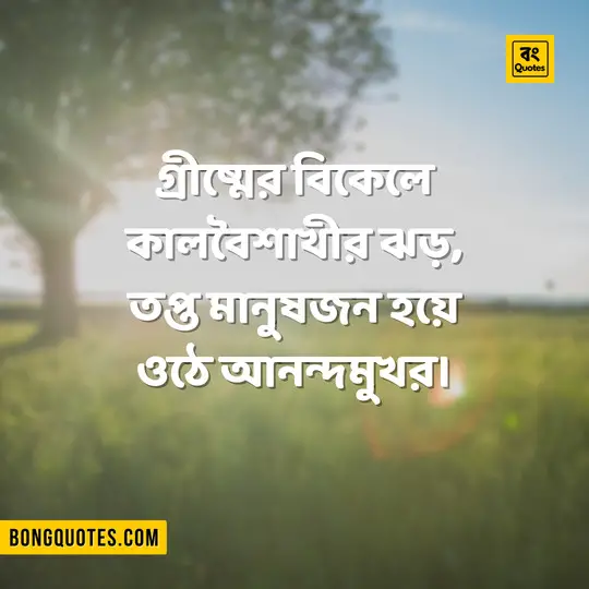 Bengali Summer Quotes Image