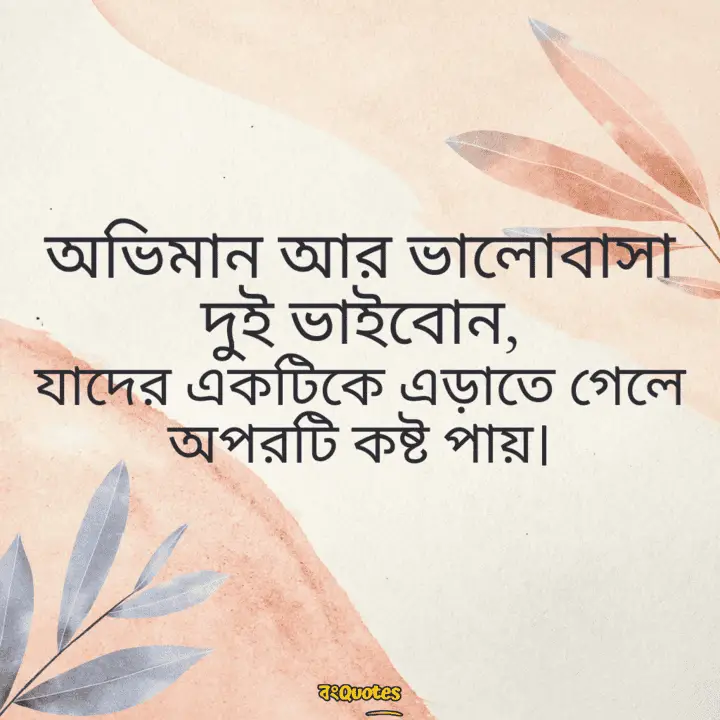 অভিমান নিয়ে উক্তি 12