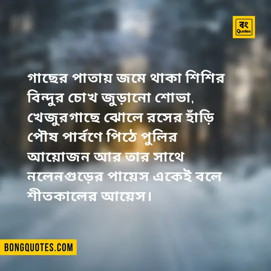 Top Bengali Shayeri about Winter 