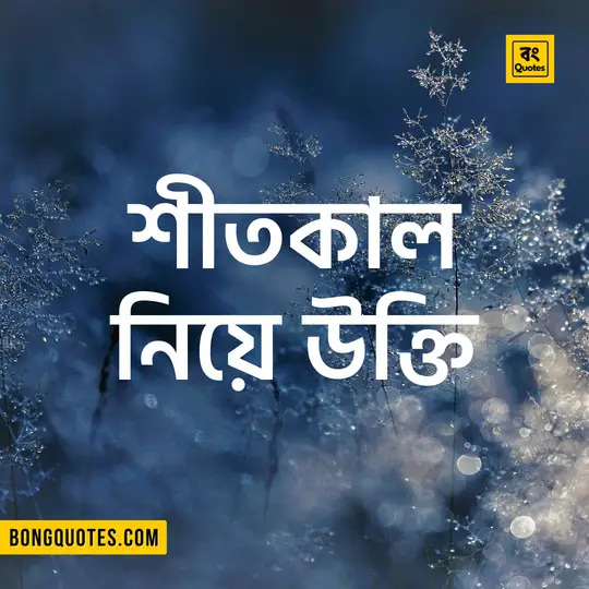 Bengali Quotes, Lines, Shayeri & SMS on Winter Season