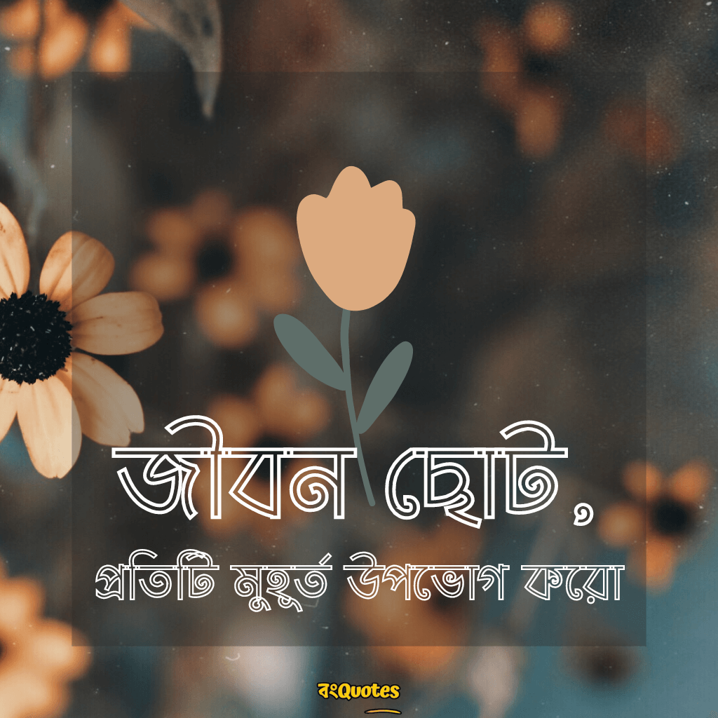 ক্যাপশন 9