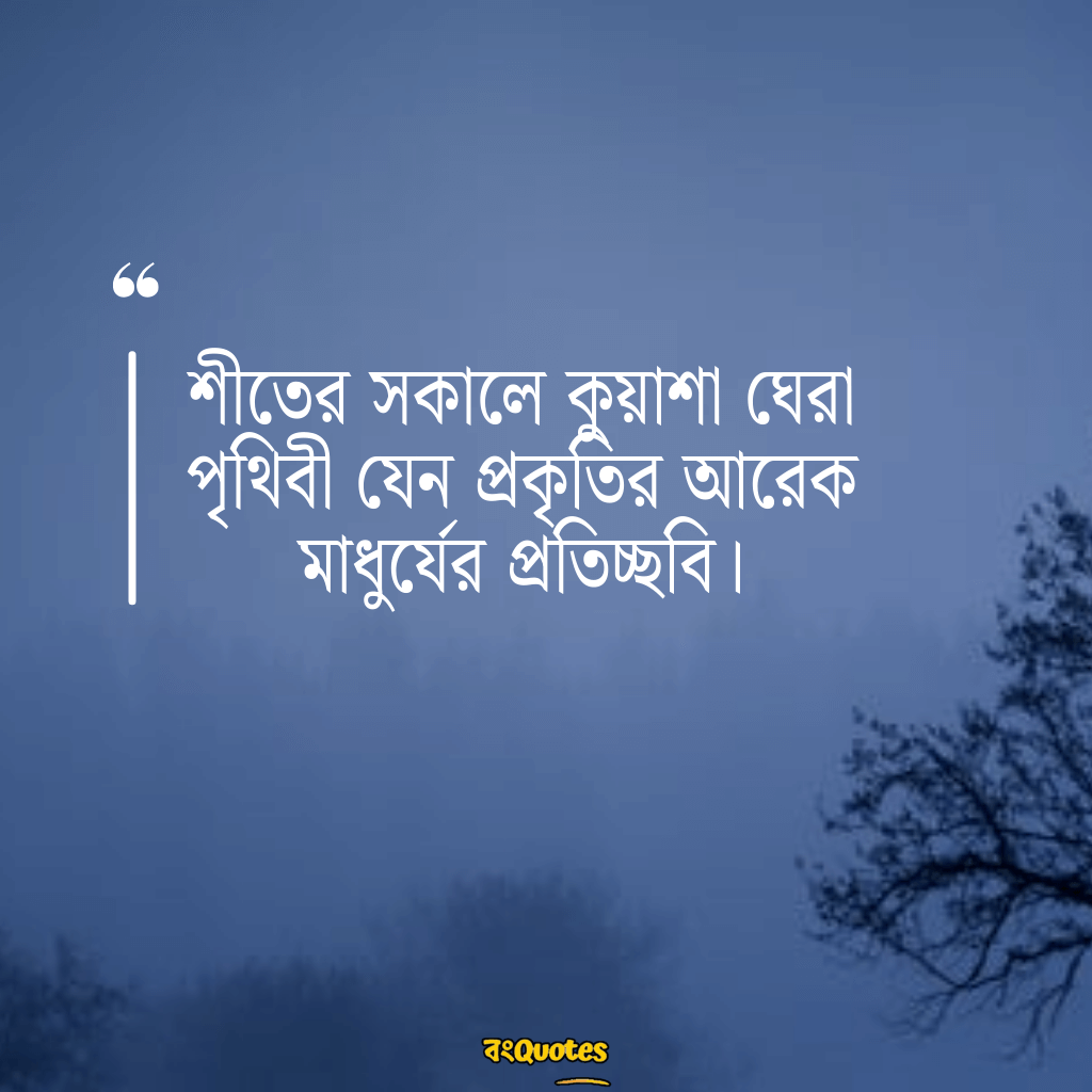 শীতকাল নিয়ে উক্তি 1