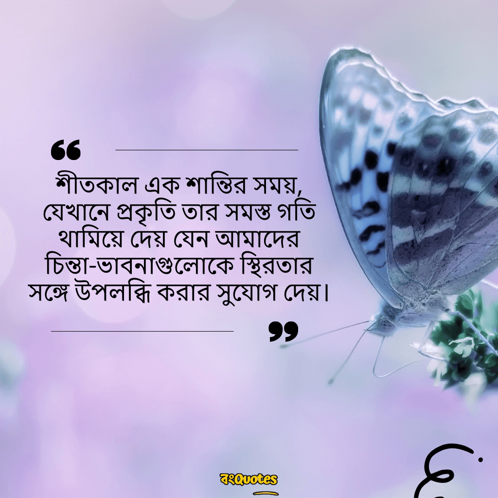 শীতকাল নিয়ে উক্তি 14