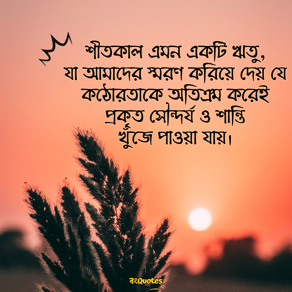 শীতকাল নিয়ে উক্তি 15