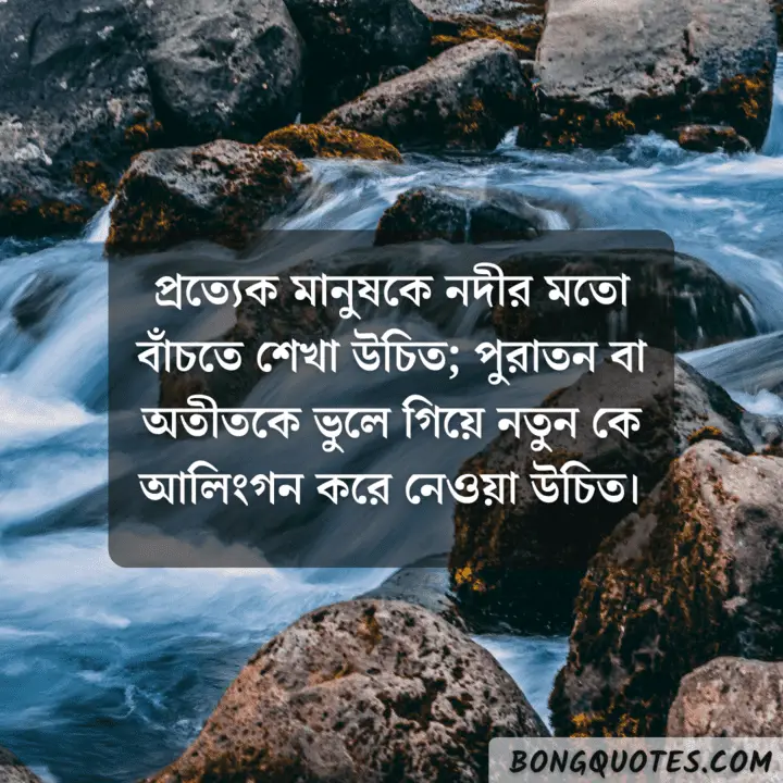 Lines about river in Bengali