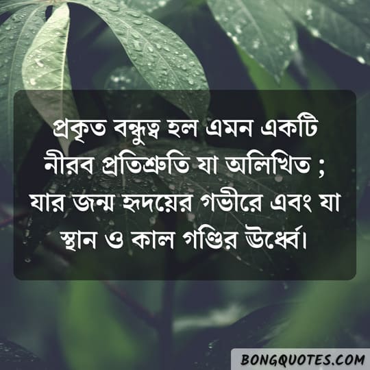 Bengali-captions-on-promising