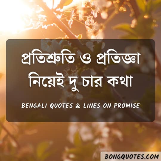 Bengali quotes on Promise - Promise Day quotes for love