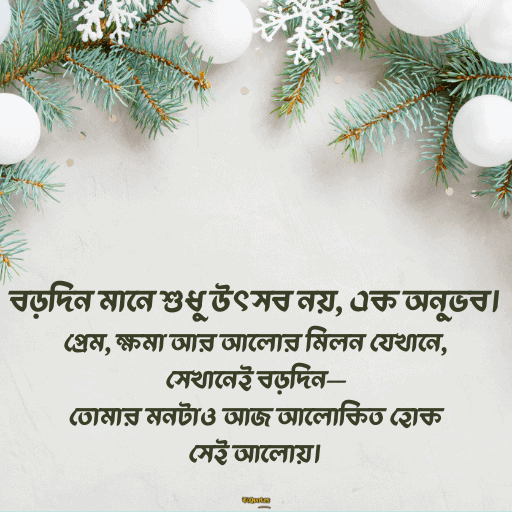 ক্রিসমাসের শুভেচ্ছা 14