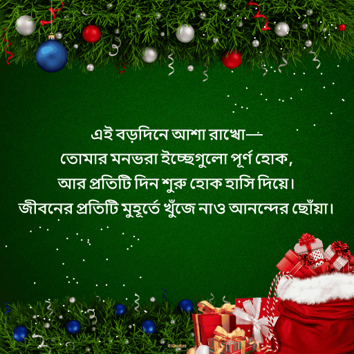 ক্রিসমাসের শুভেচ্ছা 17