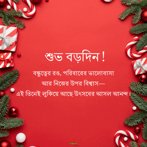 ক্রিসমাসের শুভেচ্ছা 18