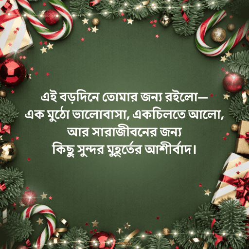 ক্রিসমাসের শুভেচ্ছা 19