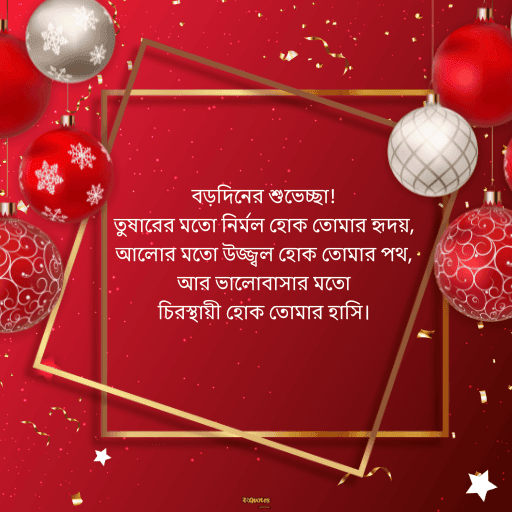 ক্রিসমাসের শুভেচ্ছা 20