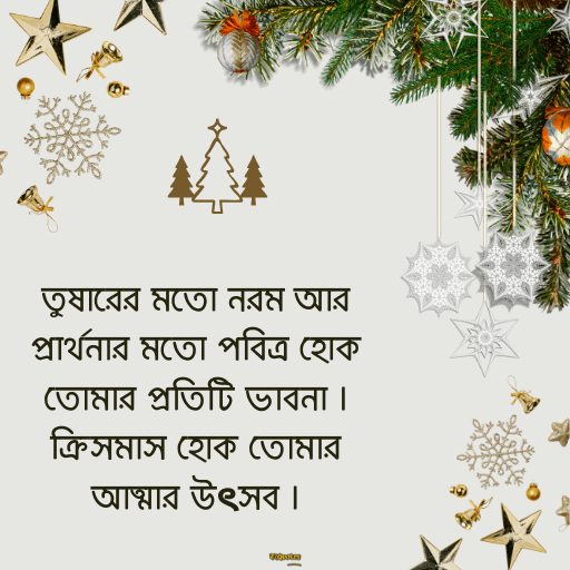 ক্রিসমাসের শুভেচ্ছা 23