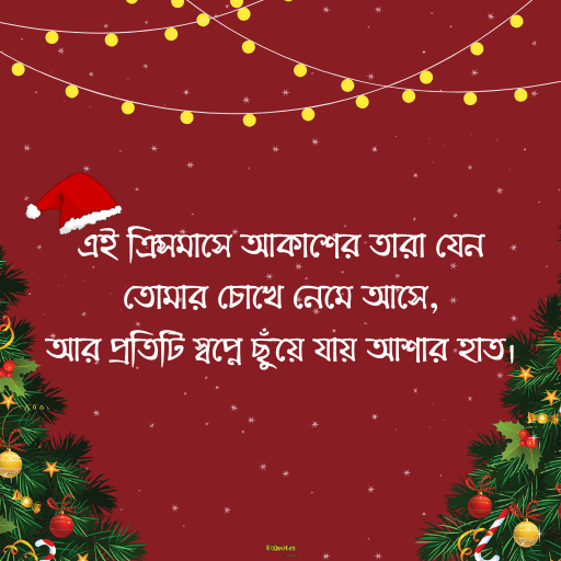 ক্রিসমাসের শুভেচ্ছা 24