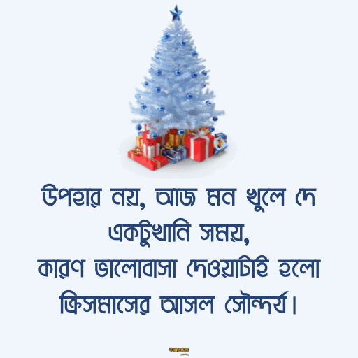 ক্রিসমাসের শুভেচ্ছা 25