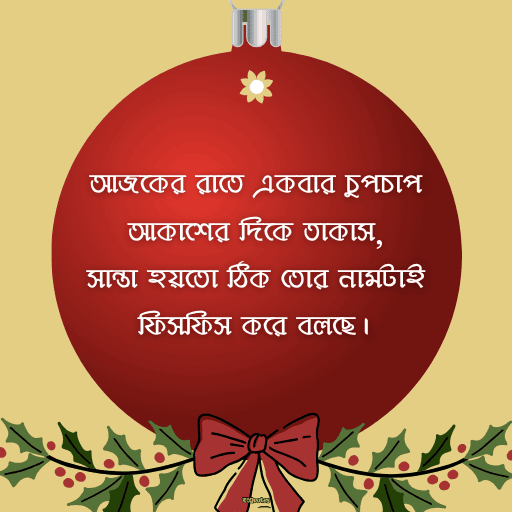 ক্রিসমাসের শুভেচ্ছা 28