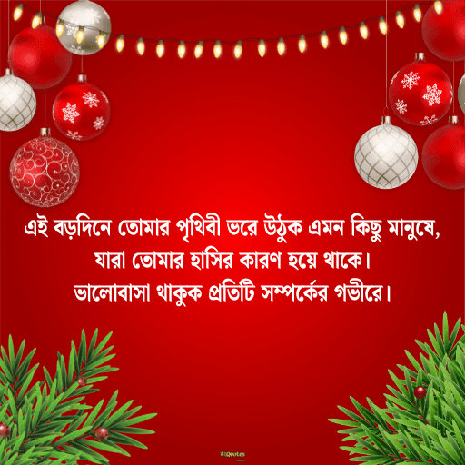 ক্রিসমাসের শুভেচ্ছা 5